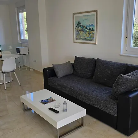 Apartments Giovanni Mandre Room photo